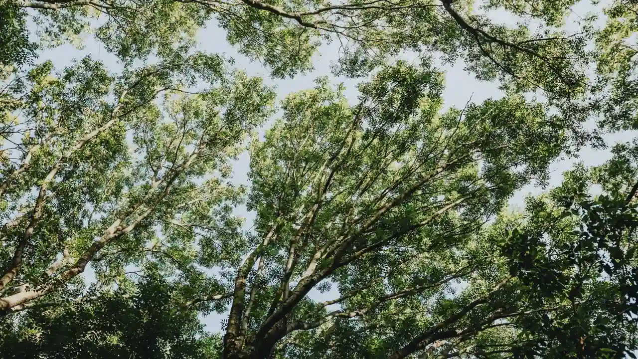 孙洁睿头像