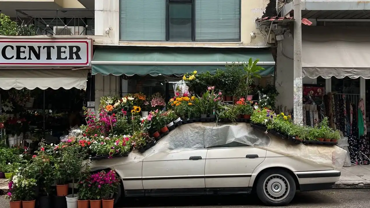 周兰玟头像