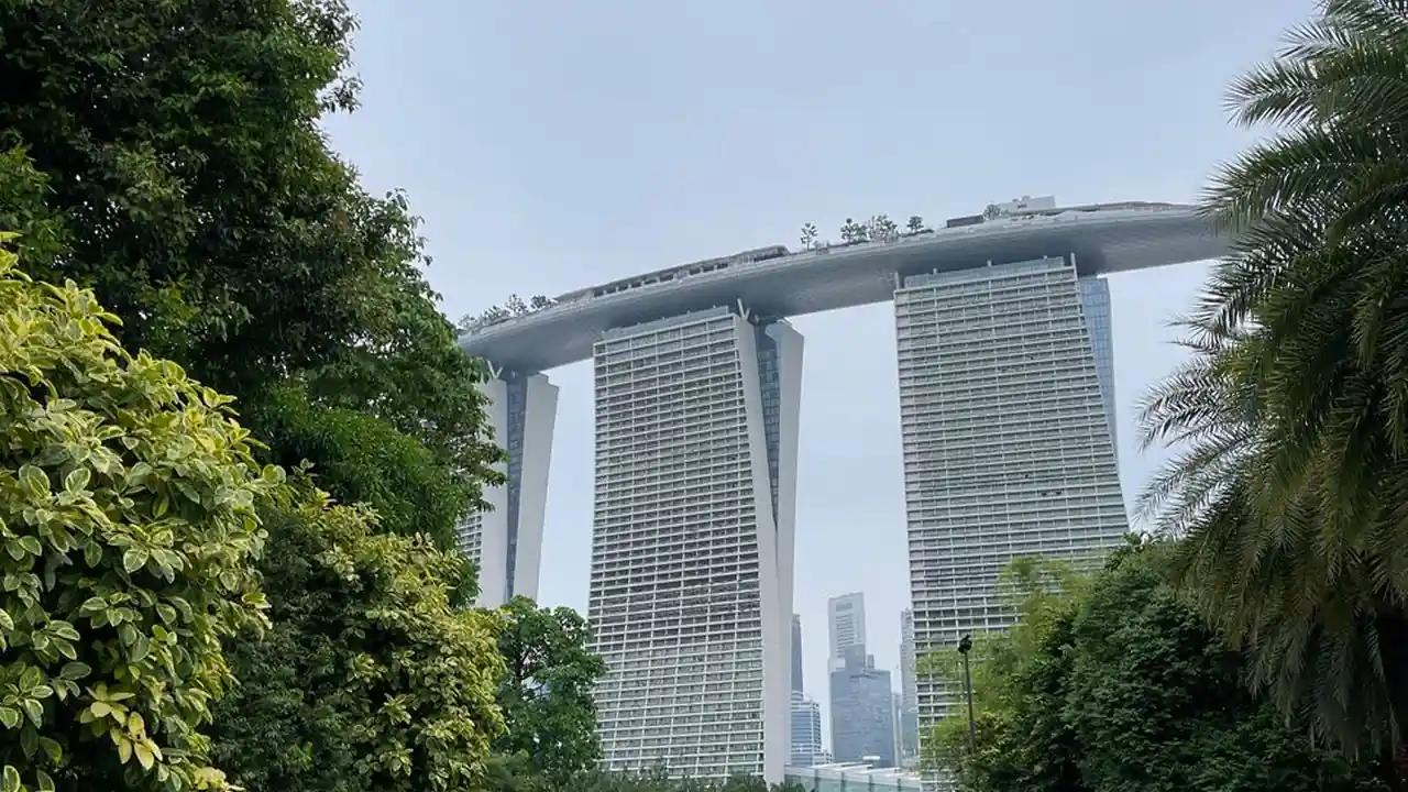 快播手机版停用现状与本地视频播放替代方案